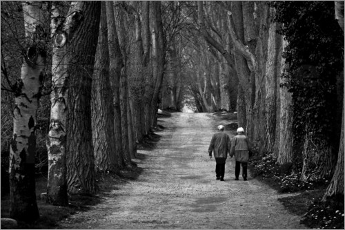 poster-altes-ehepaar-geht-gemeinsam-auf-langer-baumallee-spazieren-312478